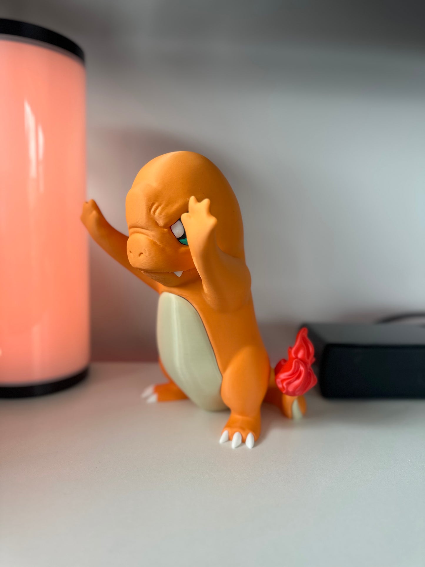 Charmander in Window