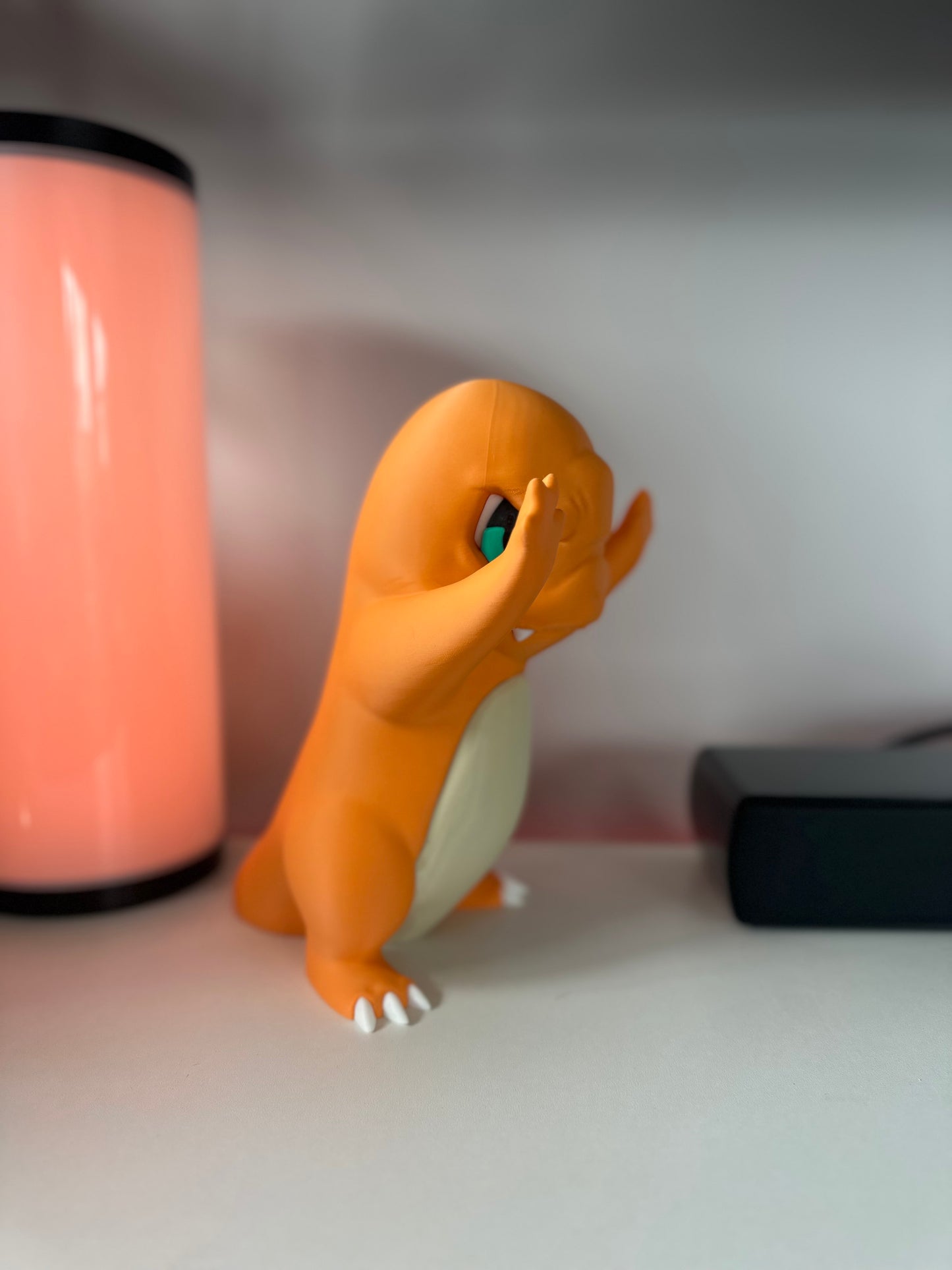 Charmander in Window