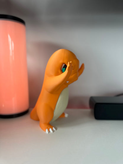 Charmander in Window