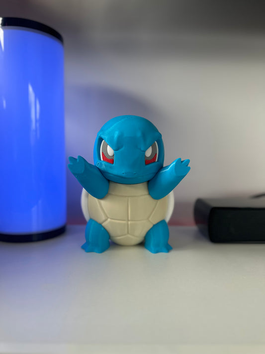 Squirtle in Window
