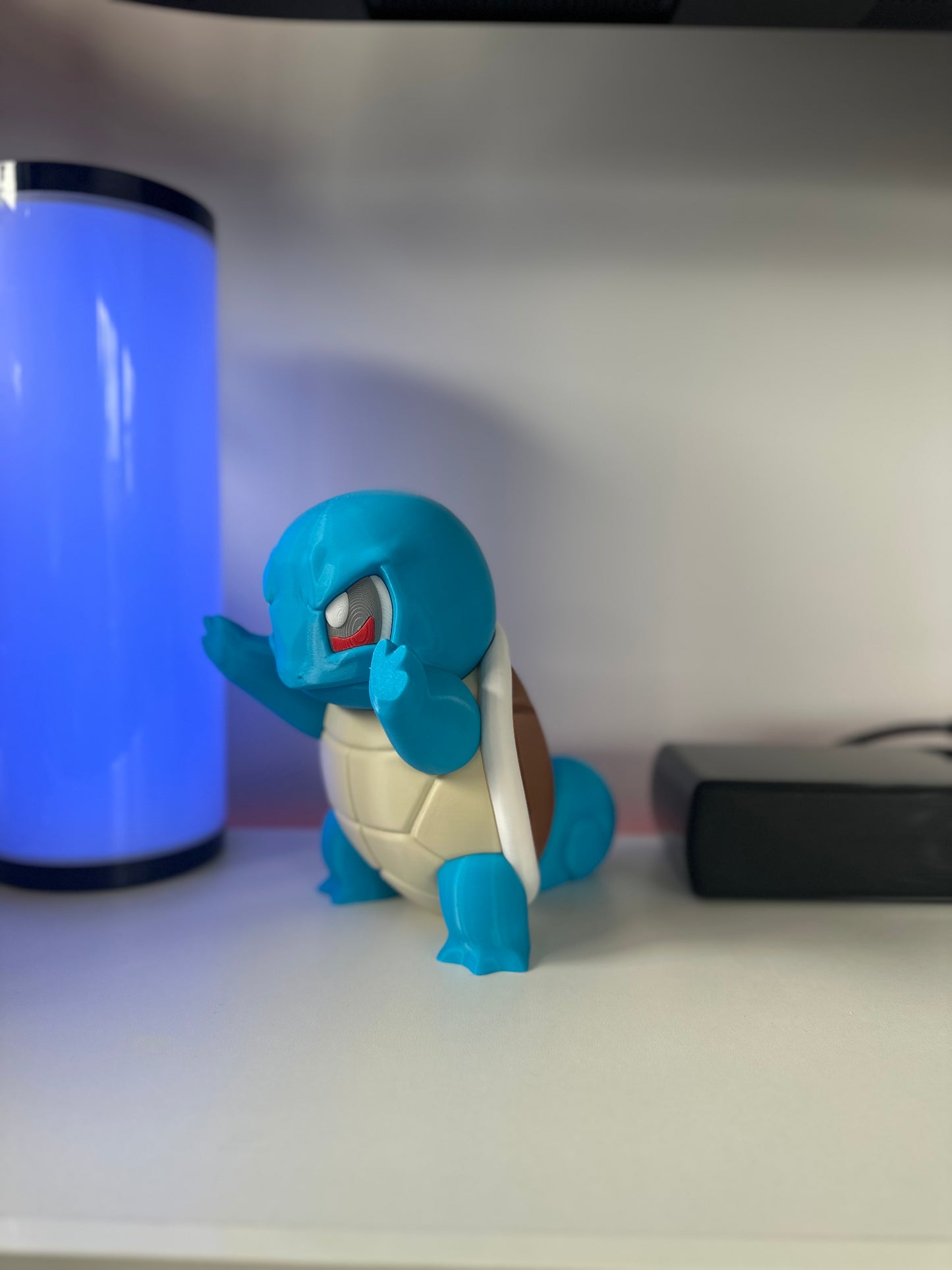 Squirtle in Window